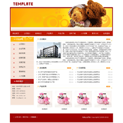 濟(jì)南網(wǎng)站建設(shè)-玩具制造企業(yè)網(wǎng)站