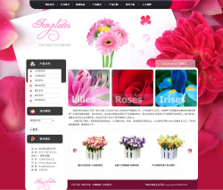 濟(jì)南網(wǎng)站建設(shè)-仿真花制造企業(yè)網(wǎng)站