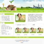 家電制造企業(yè)網(wǎng)站