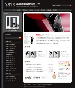 濟(jì)南網(wǎng)站建設(shè)-音響器材公司網(wǎng)站