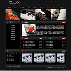 濟(jì)南網(wǎng)站建設(shè)-樂(lè)器制造企業(yè)網(wǎng)站