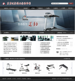 濟(jì)南網(wǎng)站建設(shè)-運(yùn)動(dòng)器材公司網(wǎng)站