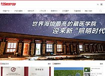 漢能控股集團(tuán)有限公司