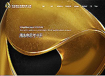 銅業(yè)集團(tuán)有限公司