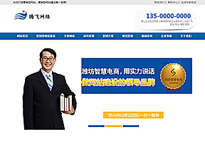 藍(lán)色網(wǎng)絡(luò)營銷企業(yè)